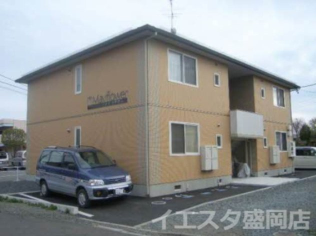 メイフラワー