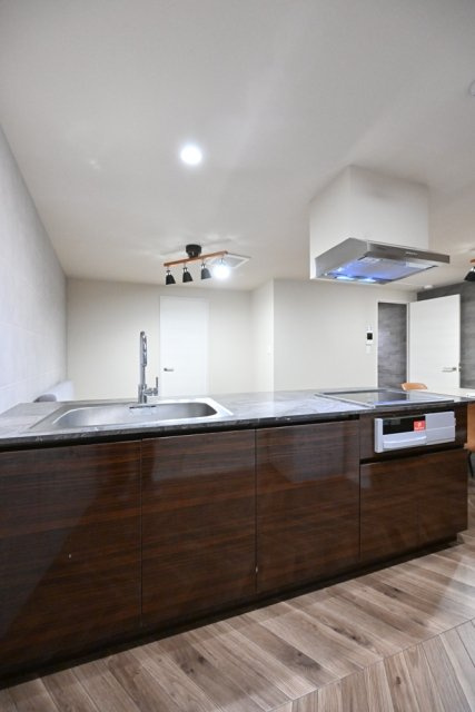 Apartment小石川後楽園のキッチン|使いやすいキッチンです