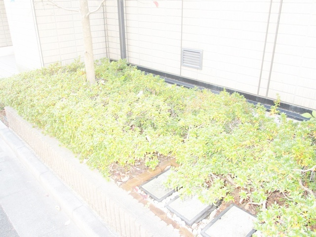 プリンツのその他|植栽です☆