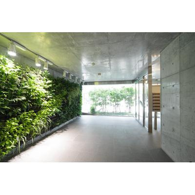 【エントランス】 | ヘリタス中野