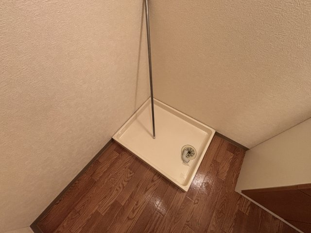 ラディッシュⅥのその他