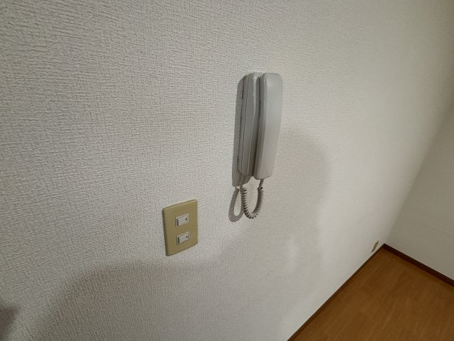 ラディッシュⅥのセキュリティ