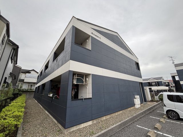 ラディッシュⅥのその他