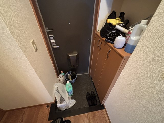 ラディッシュⅥの玄関