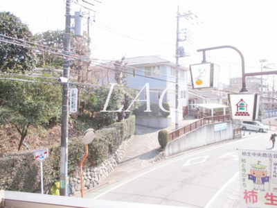 【その他】 | シャルムⅡ
