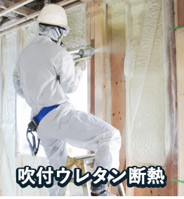 ヴィラアイビスのその他