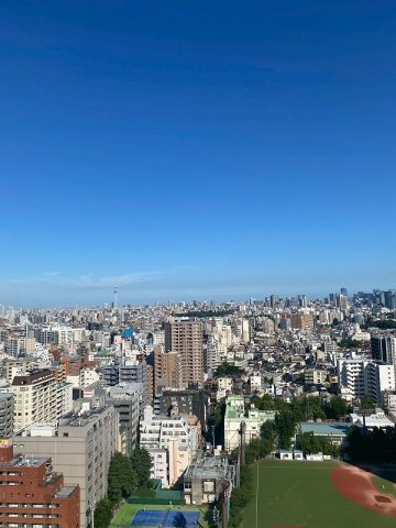 ライオンズタワー池袋の展望|ライオンズタワー池袋：バルコニーからの眺望です！