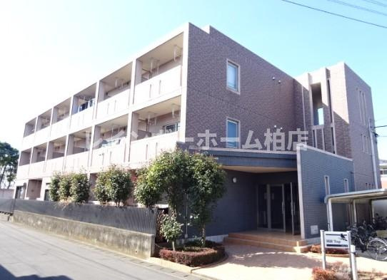 【仲介手数料：50％OFF】対象物件！の外観|外観です