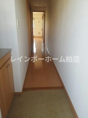 【仲介手数料：50％OFF】対象物件！の玄関|※別部屋反転タイプ写真。