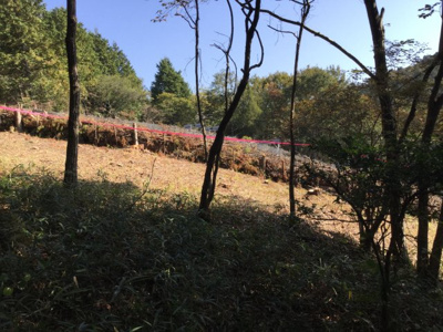 【外観】 | 岡山県美作市大井が丘 土地
