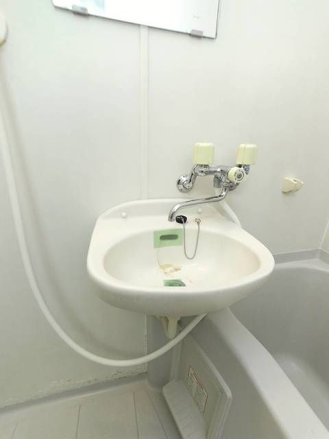 サンテラス奥戸の洗面所