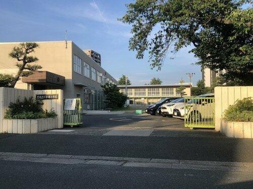 豊橋市花田町字石塚の中古マンションの周辺|豊橋市立松葉小学校まで240m 