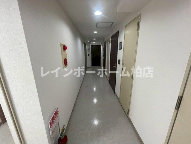 特典：仲介手数料が無料です!!のその他