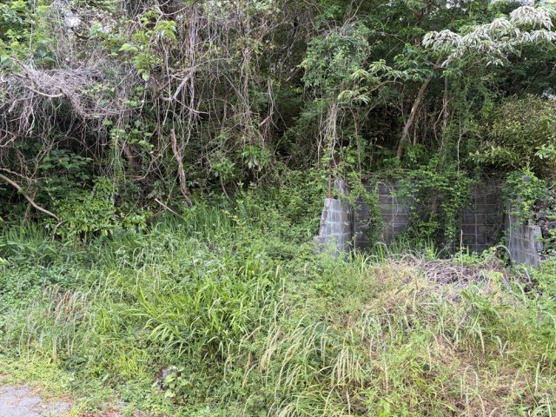 【外観】 | 大室高原別荘地　売地
