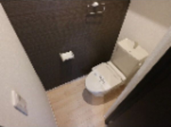 Grandtic堀田のトイレ