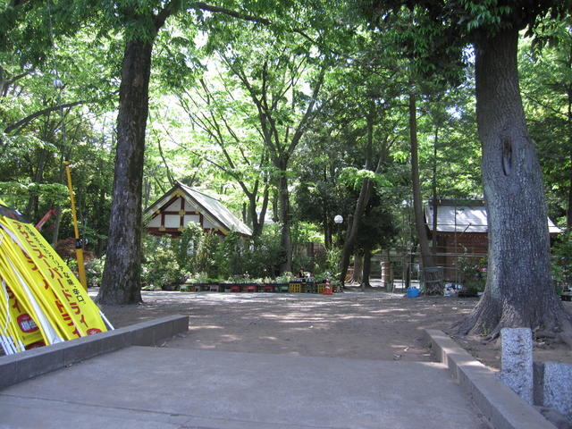ＲＥＶＥの周辺|大国魂神社まで180m