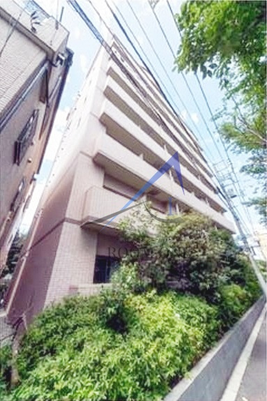 ルミエール西が丘の外観|外観です。