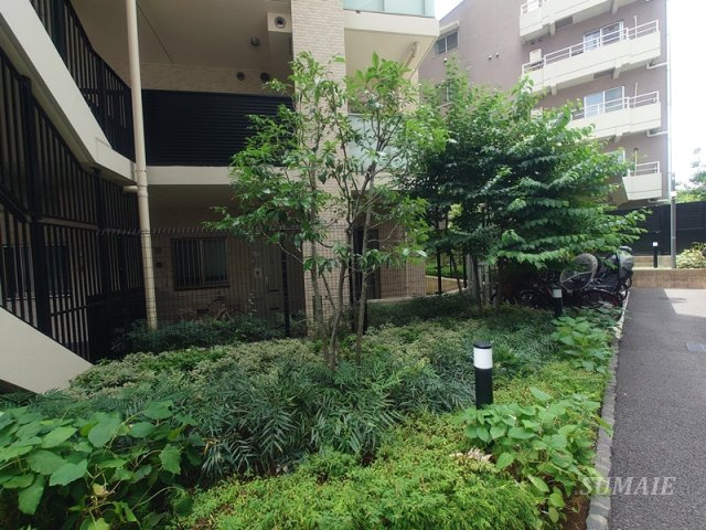ヴェレーナ⾚⽻志茂プレミアテラスのその他|植栽です☆