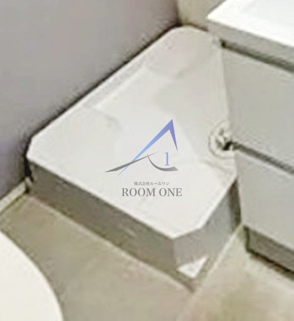 ハーモニーテラス北小岩Ⅷの設備|洗濯機置き場です。