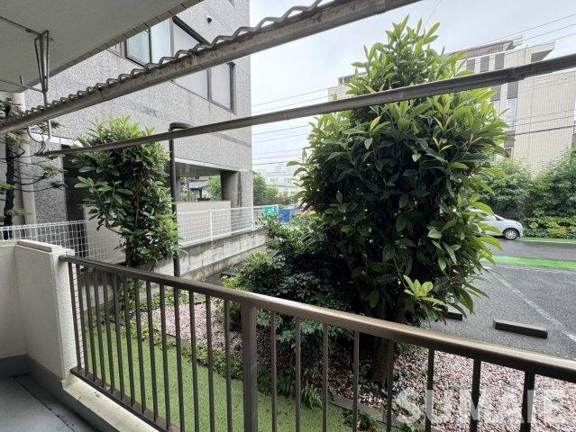 ベルヴィーユの展望|景色☆彡