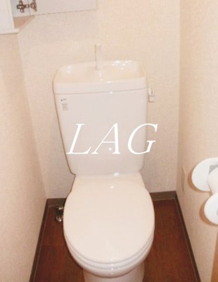 【トイレ】 | カペラⅤ | トイレです。
