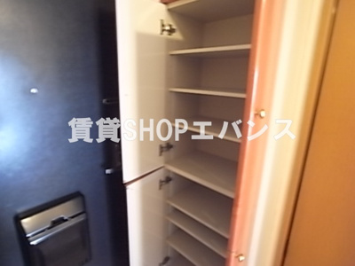  | プリモディーネ