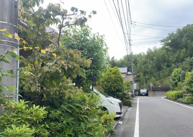 【展望】 | 桜や紅葉の名所に出かける人は多いと思いますが、家にいながら季節の移ろいを感じる生活を送りませんか？リビングや窓から見える景色が生活を彩るワンポイントに！現地から見える景色を堪能してみては如何でしょう。