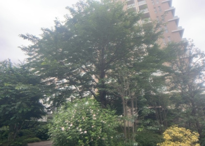 【構造・工法・仕様】 | オハナ相武台 | ＲＣ造、Reinforced Concreteは直訳すると補強されたコンクリートです。主に柱や梁・床・壁が鉄筋とコンクリートで構成おり、鉄筋を組んだ型枠にコンクリートを流し込んで固めたものを指します。