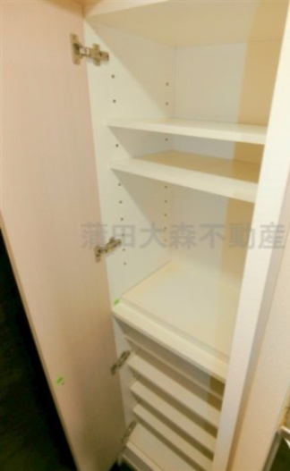 グリフィン南蒲田アクトシティの設備|玄関収納　シューズBOX　下駄箱