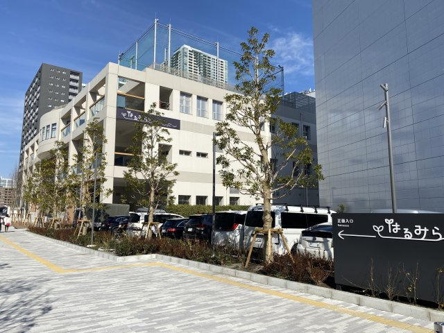 の-の画像