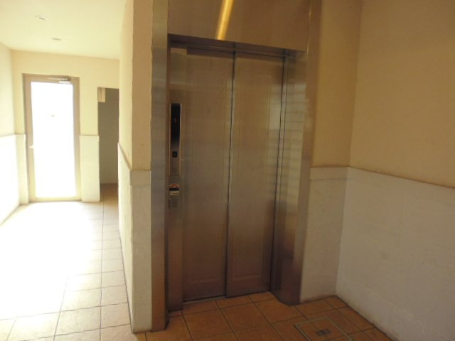 カルティエアラタマのその他