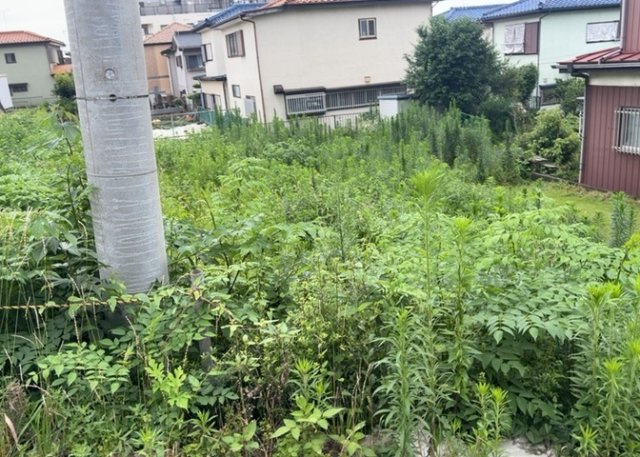 【外観】 | 土地購入を検討されている場合、境界杭がない状態で購入してしまうと境界確定測量をする必要があり、費用がかかります。購入の前に、売主、隣土地所有者立ち合いのもと境界を確定し境界杭を設置するのがベストです。