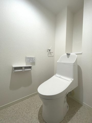 レークヒルズ野多目二番館のトイレ|温水洗浄便座付のトイレ。収納付きでスッキリ保てます