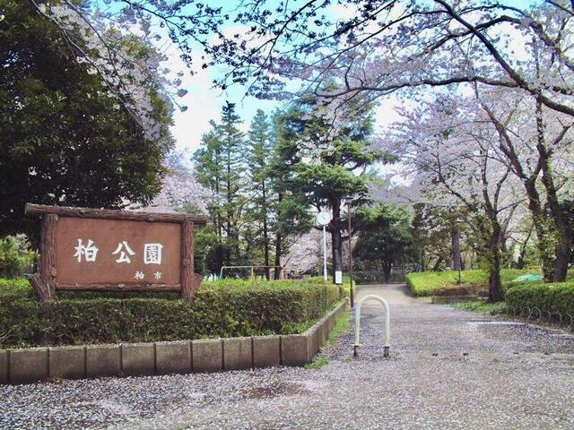 ｔｈｅ　ｔｒｉａｓ　ｋａｓｈｉｗａの周辺|柏公園まで800m
