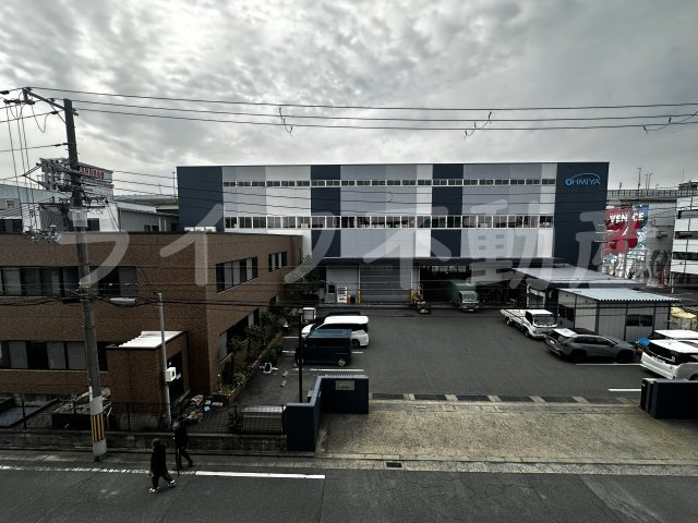 シロハイヌ吉田の展望