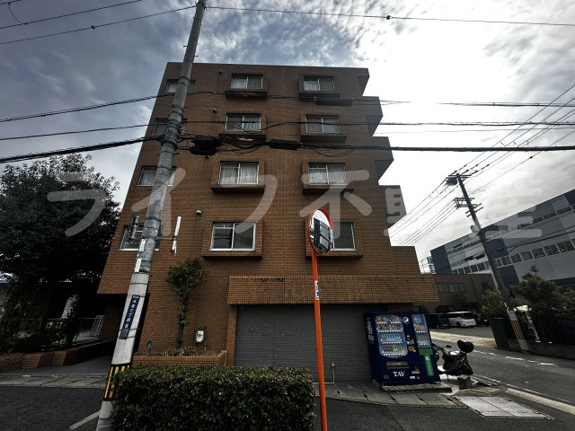 シロハイヌ吉田