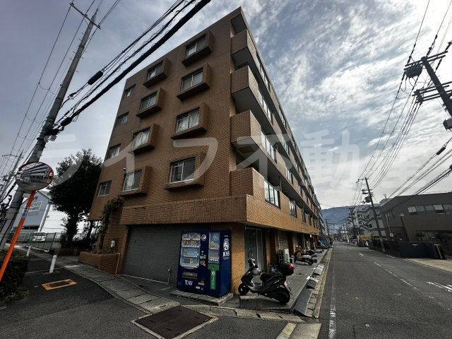 シロハイヌ吉田の外観|外観もきれいです