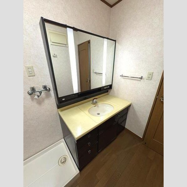 花隈町戸建の洗面所