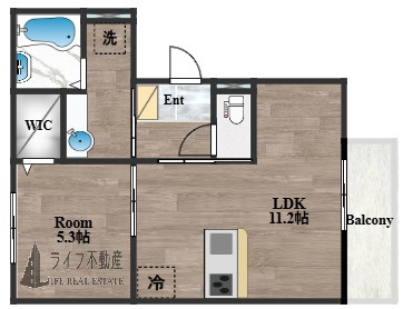 サフィールK（D-room）