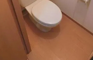 フルール・Ｆのトイレ