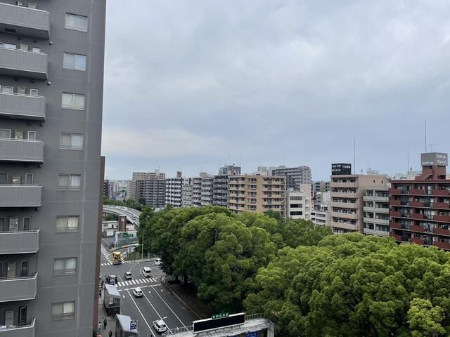 朝日大通り公園マンションの展望