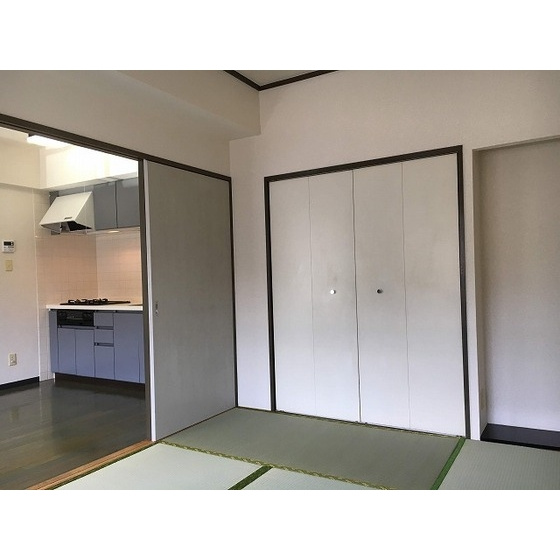 カピトール川崎Ⅰのその他