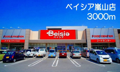 【周辺】 | ブリッサＢ | ベイシア嵐山まで3000m