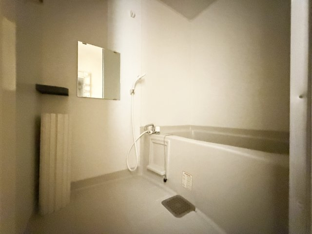 セジュール陽の浴室
