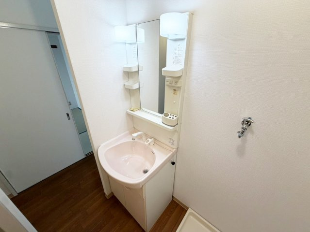 リアライズ上新庄の洗面所