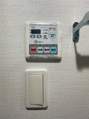 リブリ・エムールのその他