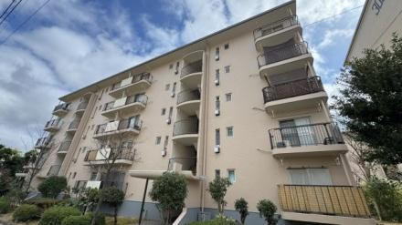男山第４住宅第304号棟　中古 マンション