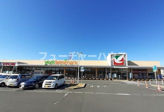 イーストウィン水野Ａの周辺|ヨークベニマル東大島店まで610m