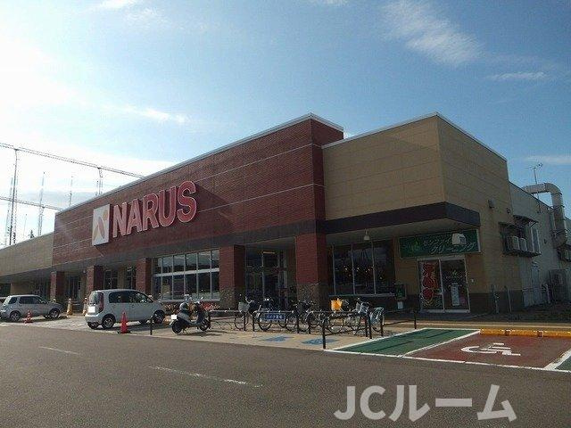 ソレアードⅢの周辺|ナルス上越インター店まで850m