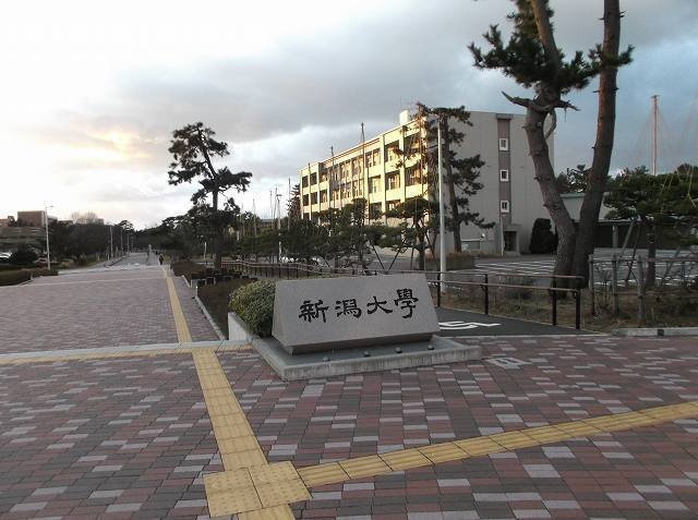 ガレットの周辺|新潟大学まで800m
